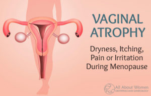 vaginal atrophy