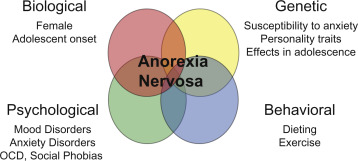 Risk factors for Anorexia Nervosa